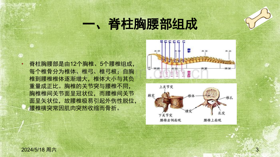 腰椎骨折中医护理方案ppt.ppt_第3页