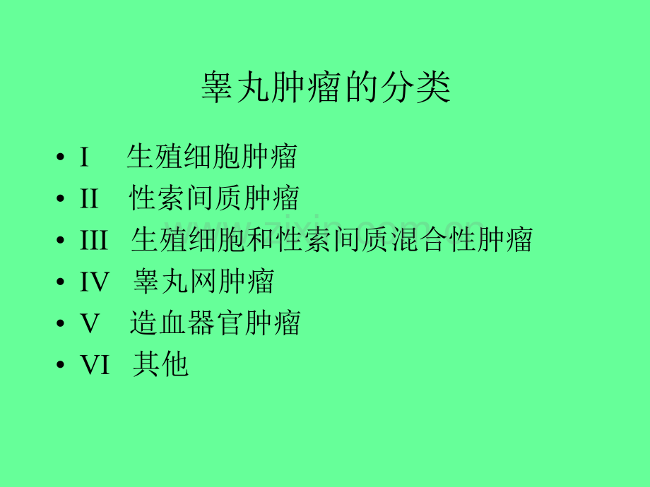 睾丸肿瘤的病理-PPT.ppt_第3页