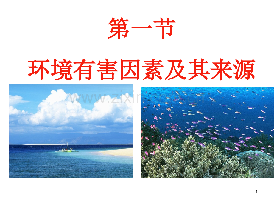 预防医学-环境与健康-PPT.ppt_第1页