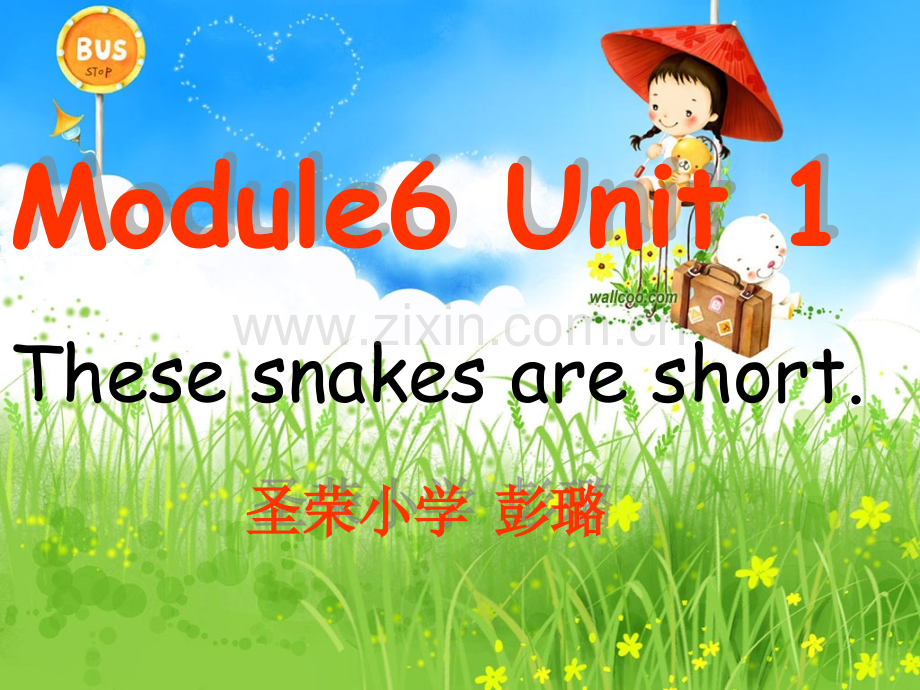 M6U1Thesesnakesareshort..ppt_第1页