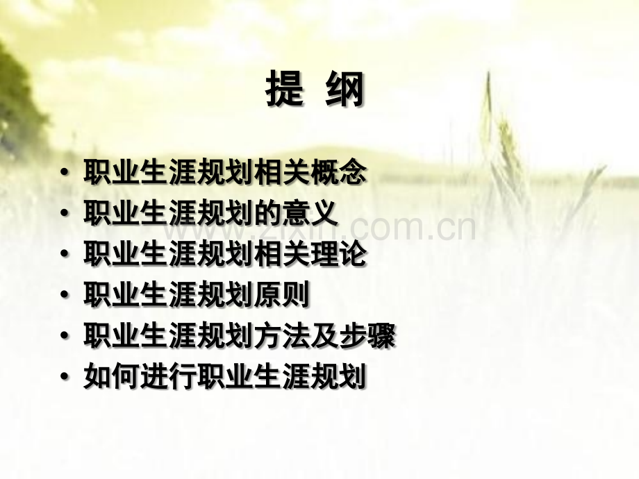 护士职业生涯规划ppt.ppt_第2页