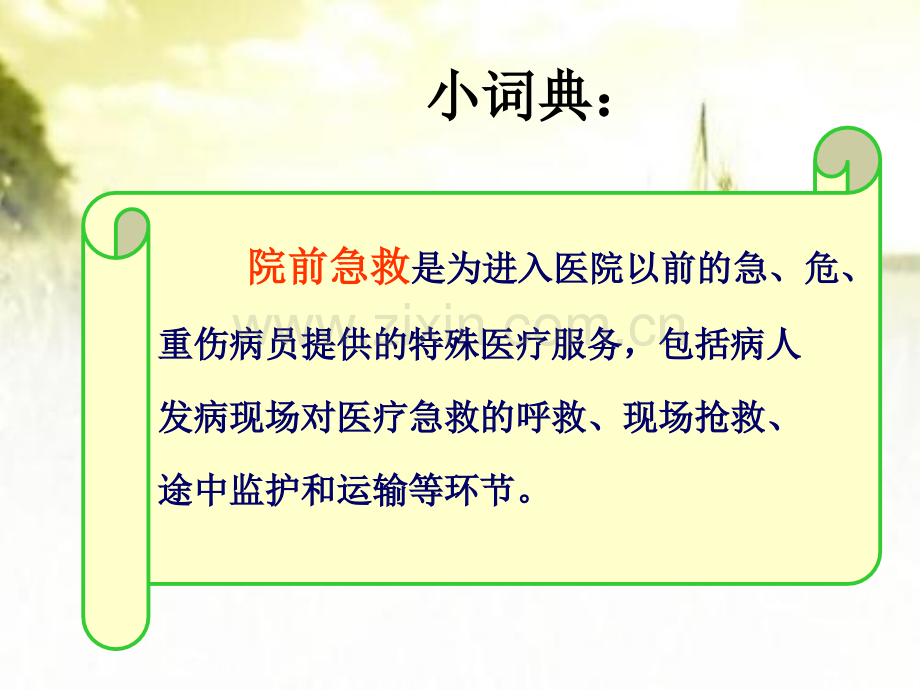 院前急救绿色生命通道-PPT.ppt_第2页