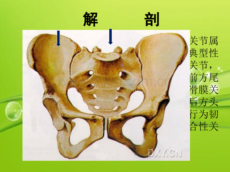 骶髂关节病变的CT诊断-PPT.ppt_第3页