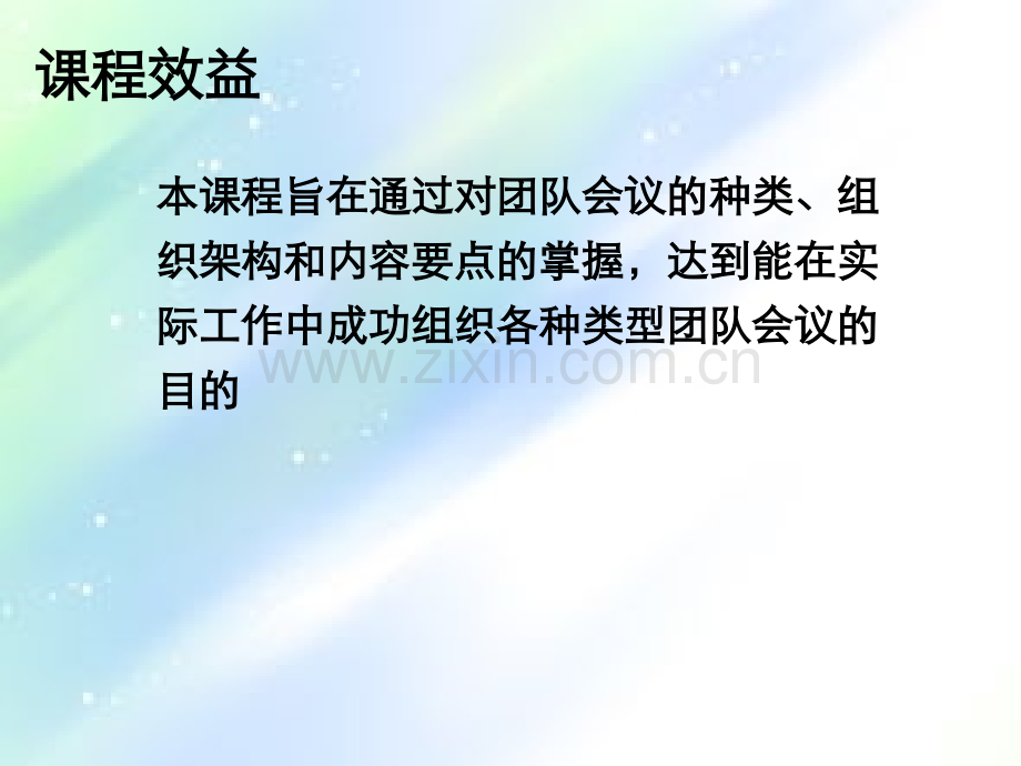 如何组织有效的团队会议ppt.ppt_第2页