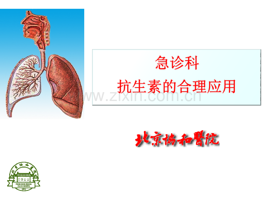 抗生素合理应用.ppt_第1页