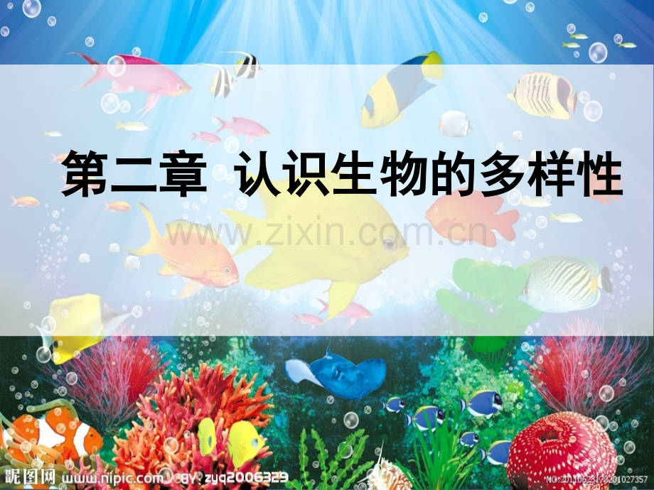 认识生物的多样性-PPT.ppt_第1页