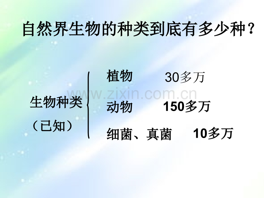 认识生物的多样性-PPT.ppt_第3页