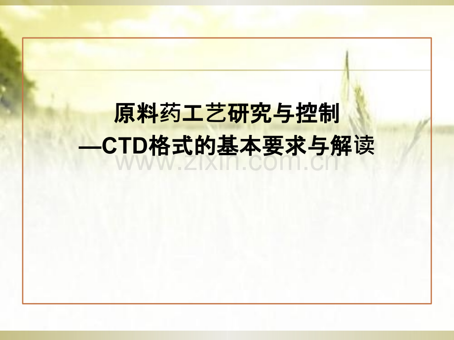 原料药工艺研究与控制—CTD格式的基本要求与解读-PPT.pptx_第1页