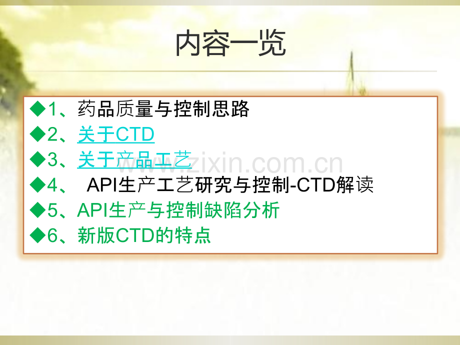 原料药工艺研究与控制—CTD格式的基本要求与解读-PPT.pptx_第2页