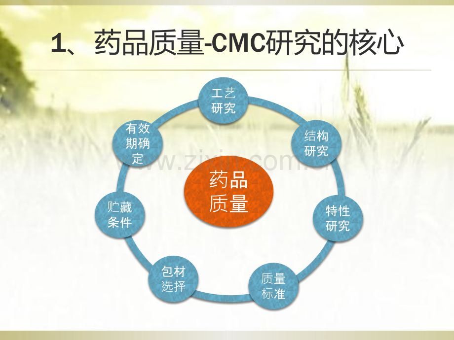 原料药工艺研究与控制—CTD格式的基本要求与解读-PPT.pptx_第3页