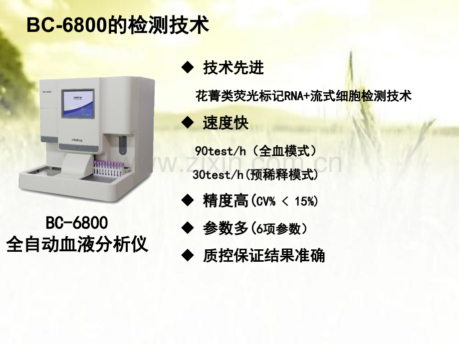 网织红细胞的临床应用ppt.ppt_第2页