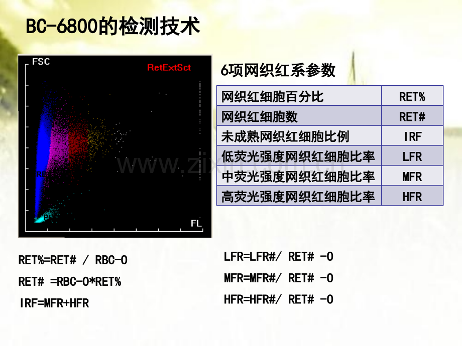 网织红细胞的临床应用ppt.ppt_第3页