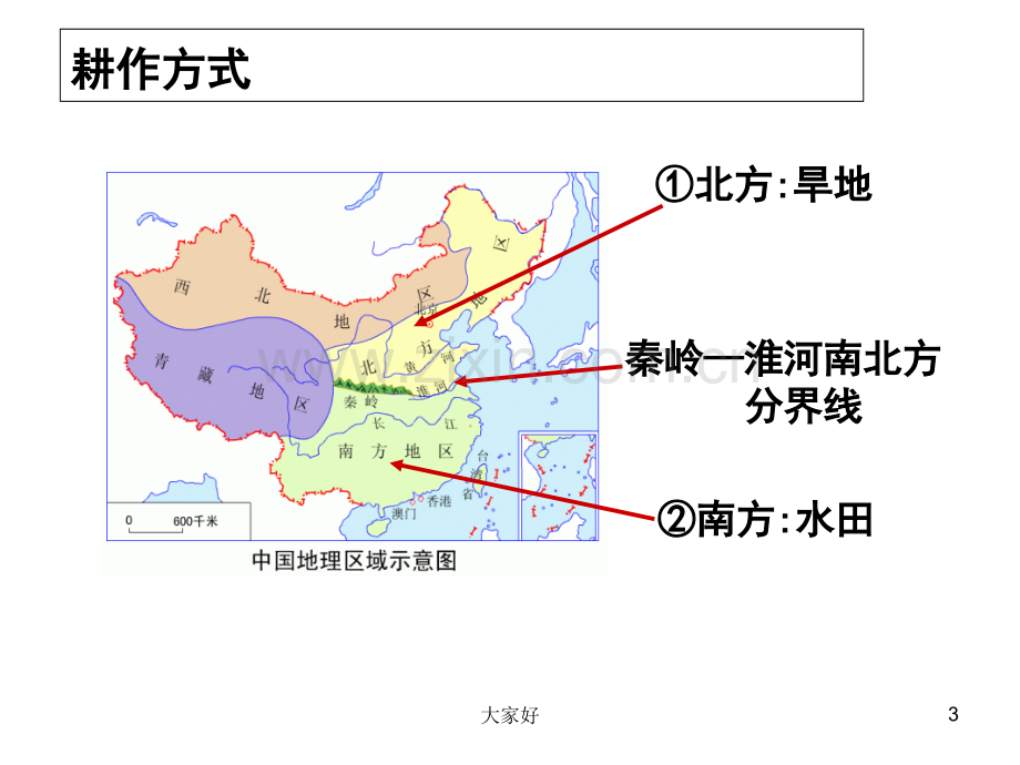 区域地理—中国地理中国的农业.ppt_第3页