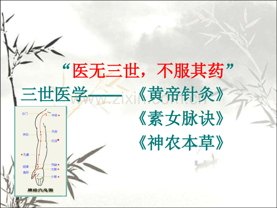 经络学说(中医学习)-PPT.ppt_第2页