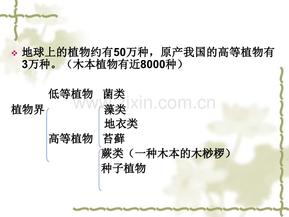 2-1园林植物的分类-PPT.ppt_第3页