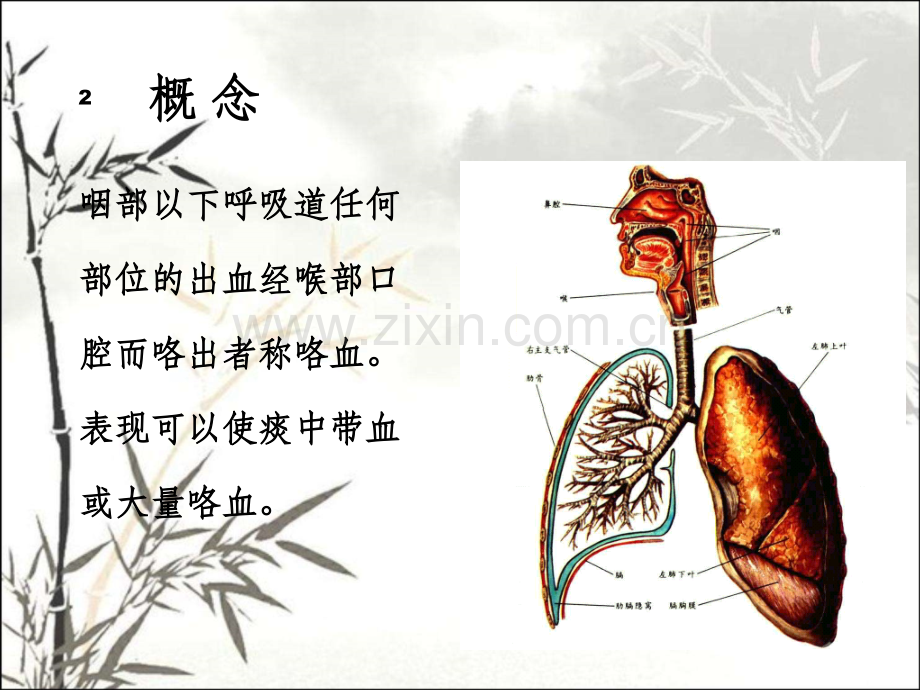 咯血诊疗规范ppt.ppt_第2页