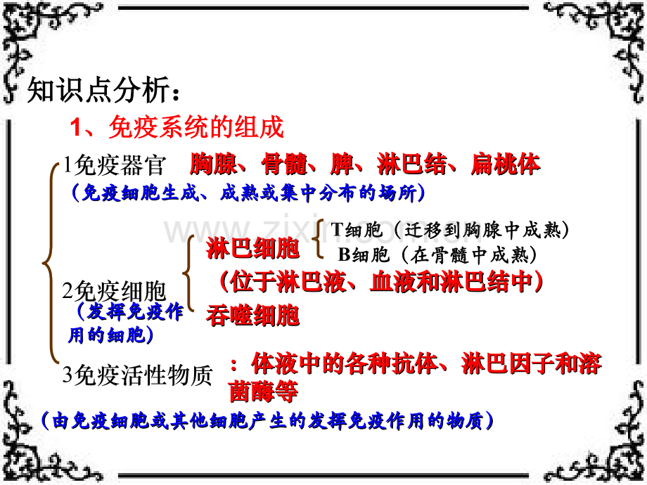 免疫系统的调节.ppt_第2页