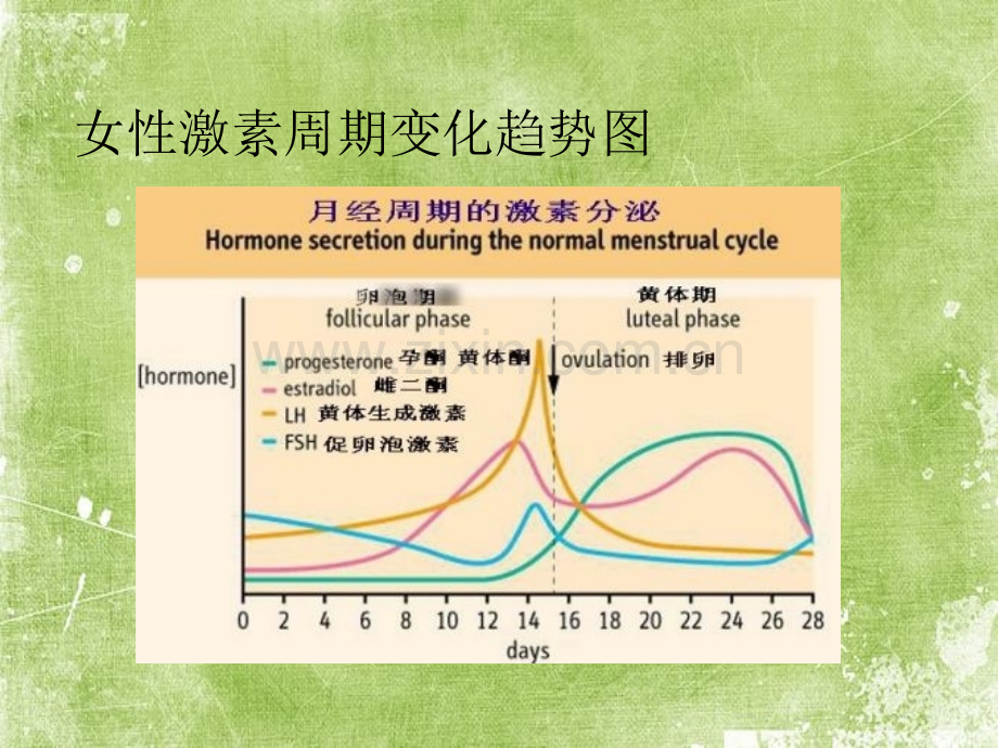 性激素六项的临床应用及实例分析ppt.ppt_第2页