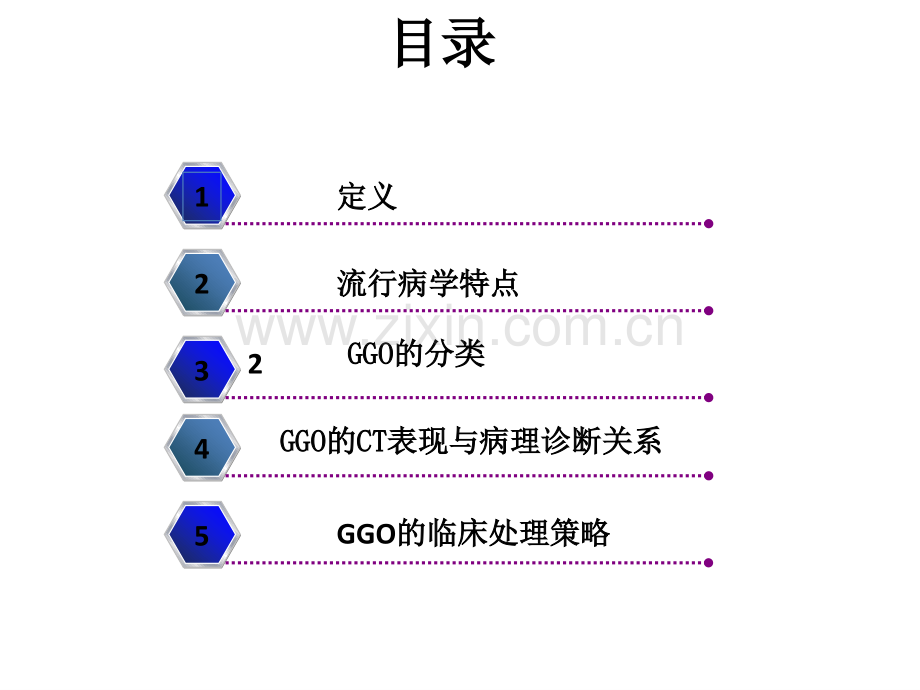 GGO诊治现状ppt.ppt_第2页