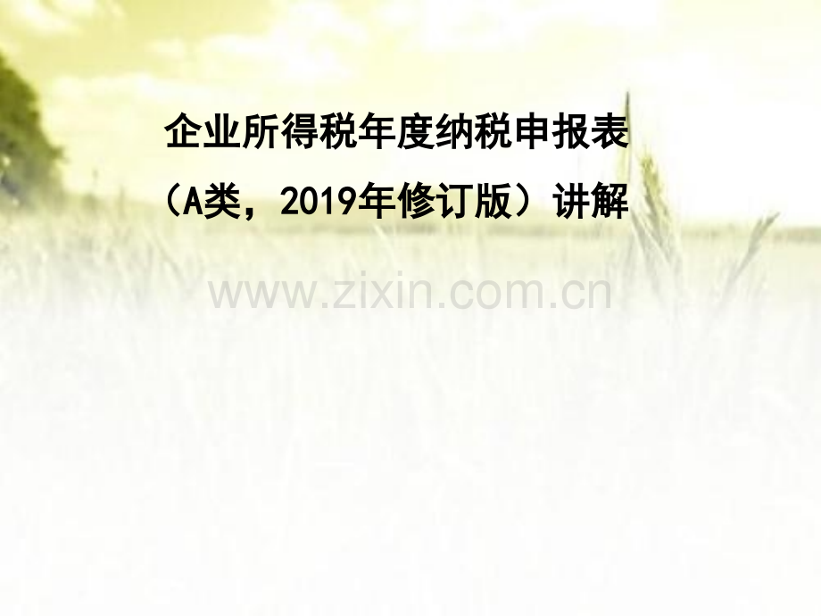 企业所得税年度纳税申报表A类2019年修订版讲解ppt.ppt_第1页