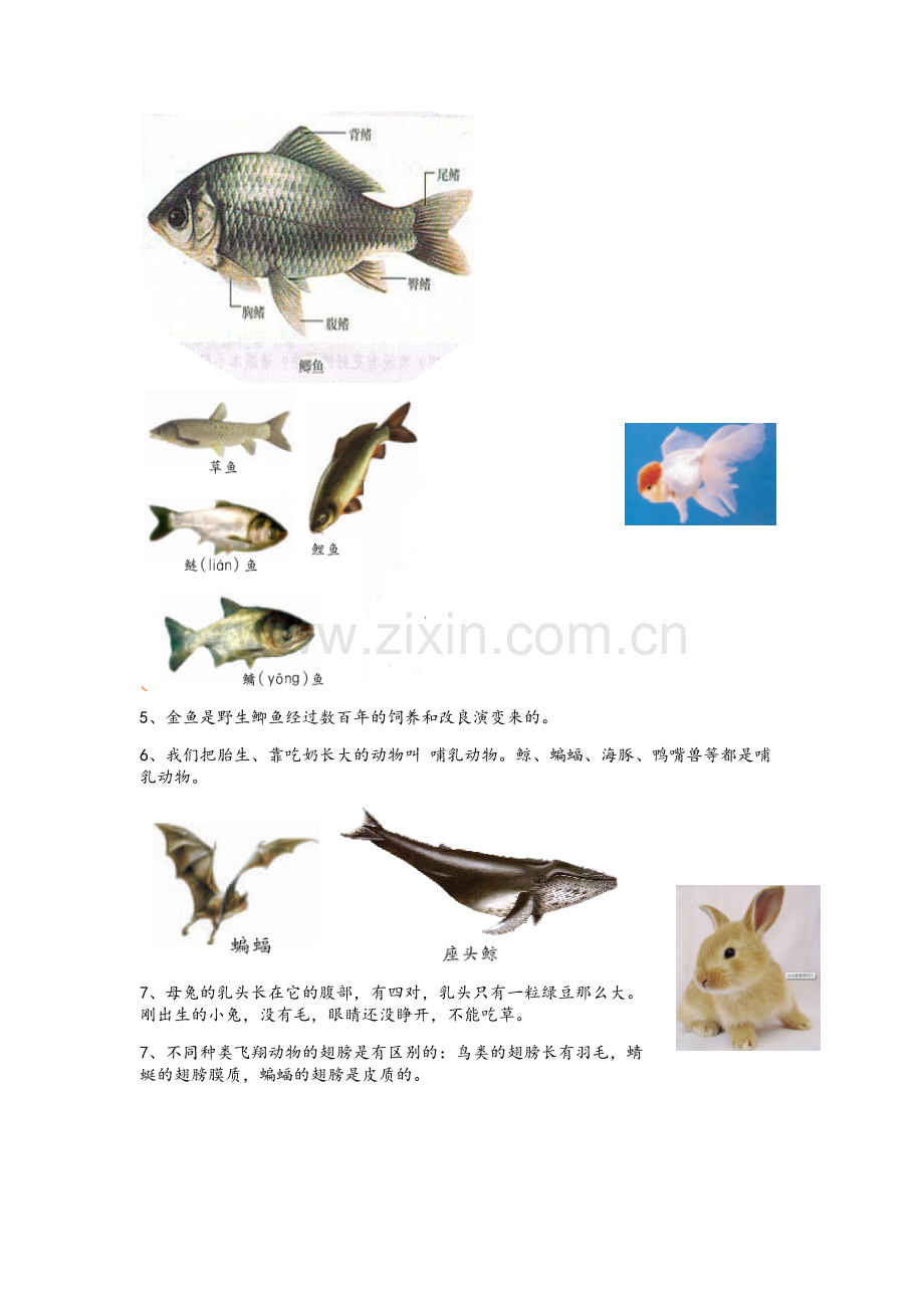 湘教版四年级科学上册复习资料.docx_第3页