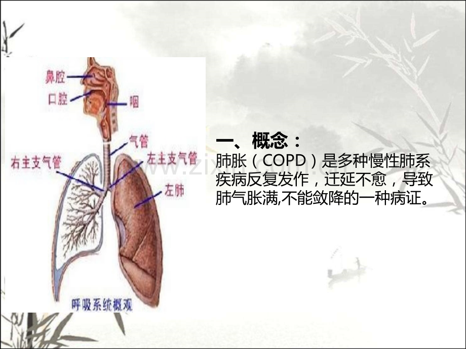 肺胀中医护理查房ppt.ppt_第2页