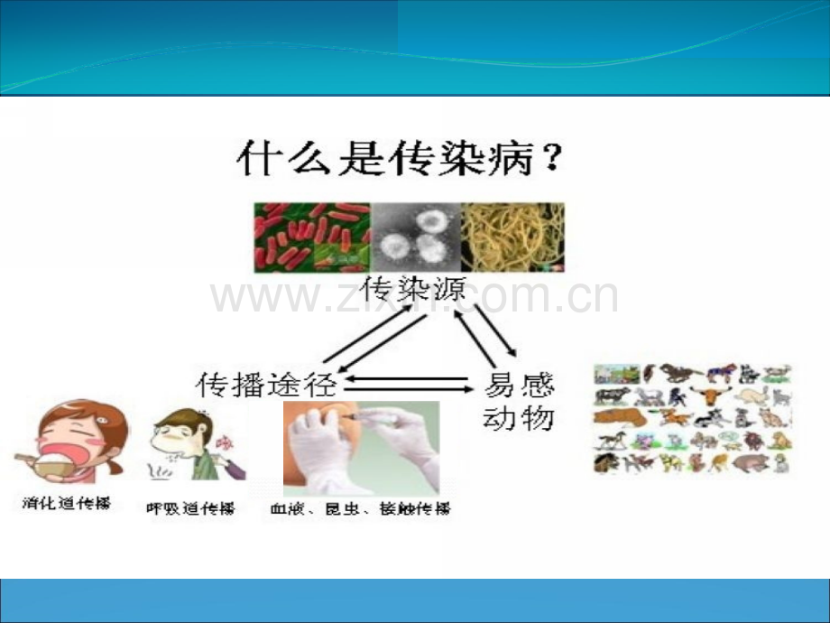 大班安全预防疾病-.ppt_第2页