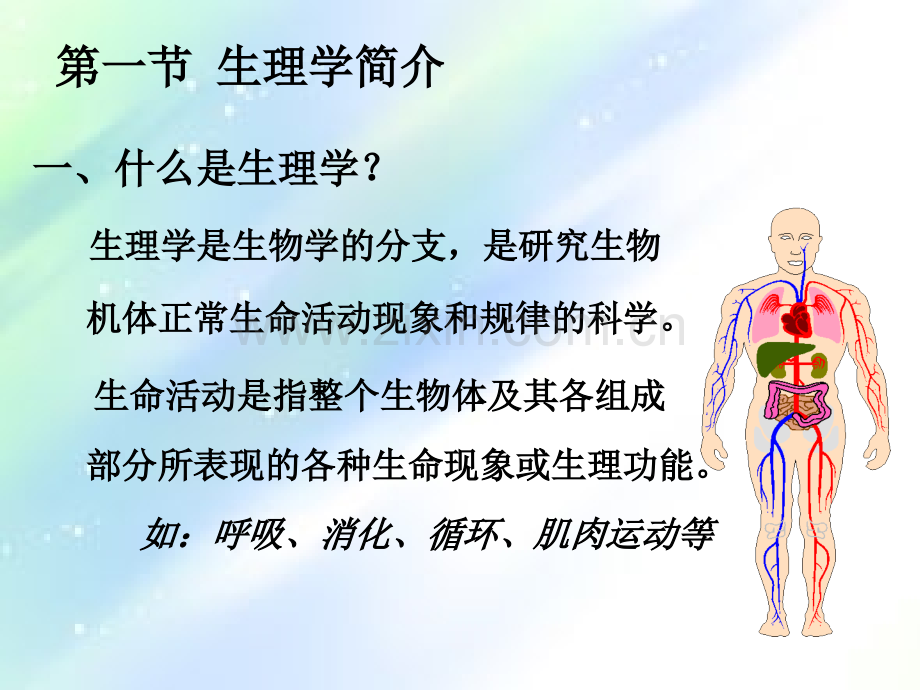 生理学基础-绪论-PPT.ppt_第3页