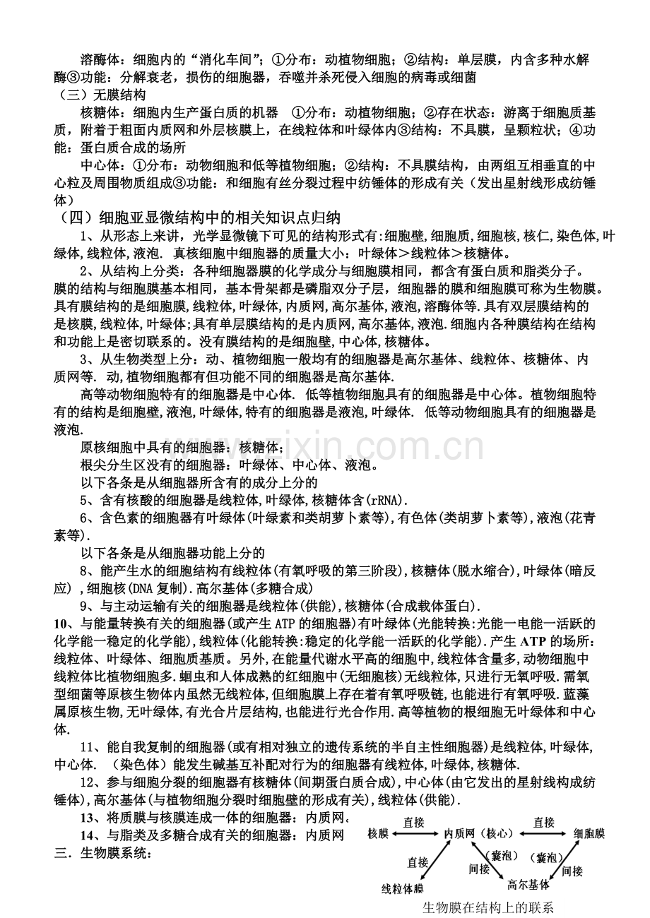 高一生物必修一第三章知识点总结.pdf_第3页