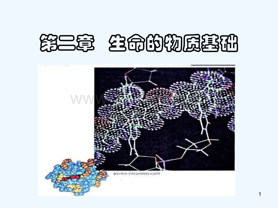 生命的物质基础-PPT课件.ppt_第1页