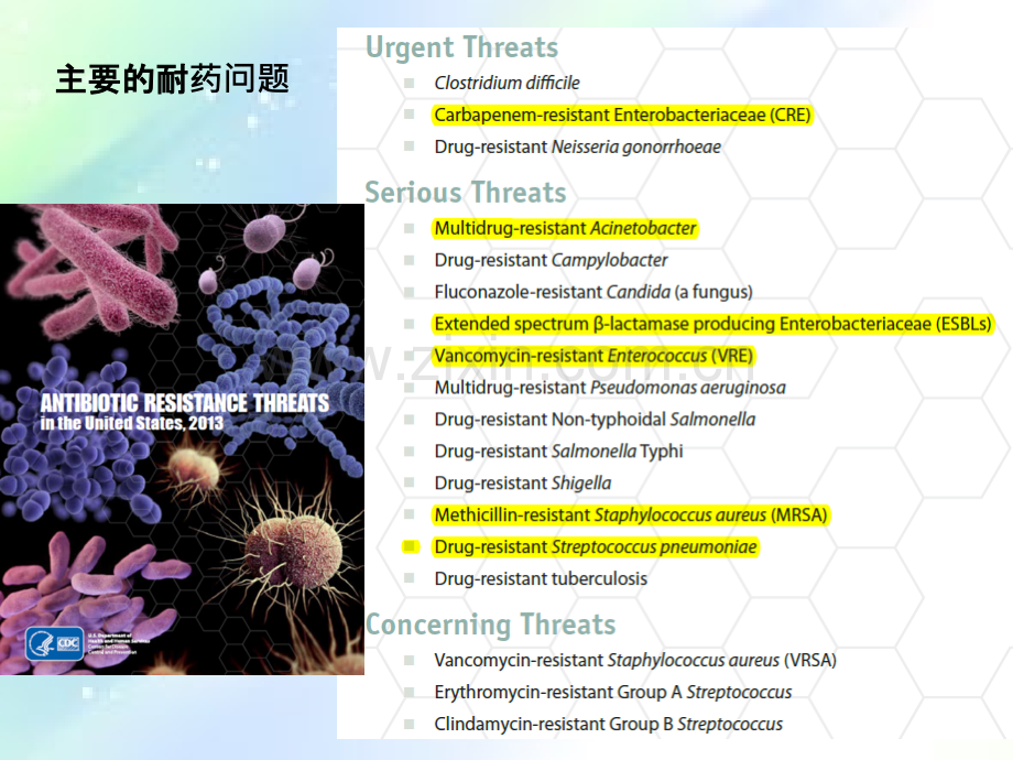 CRE流行分布及耐药机制-PPT.ppt_第3页