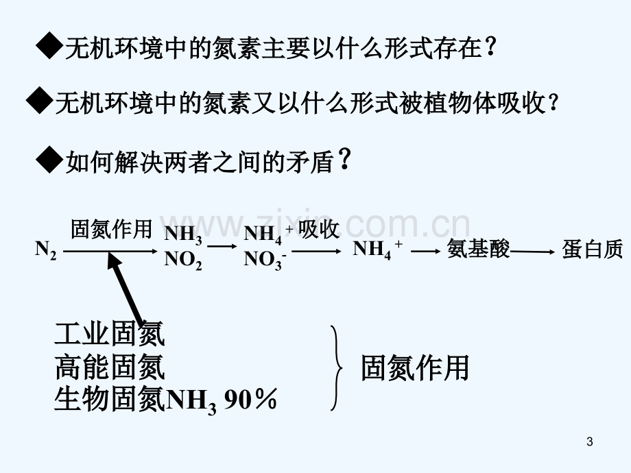 生物固氮-PPT课件.ppt_第3页