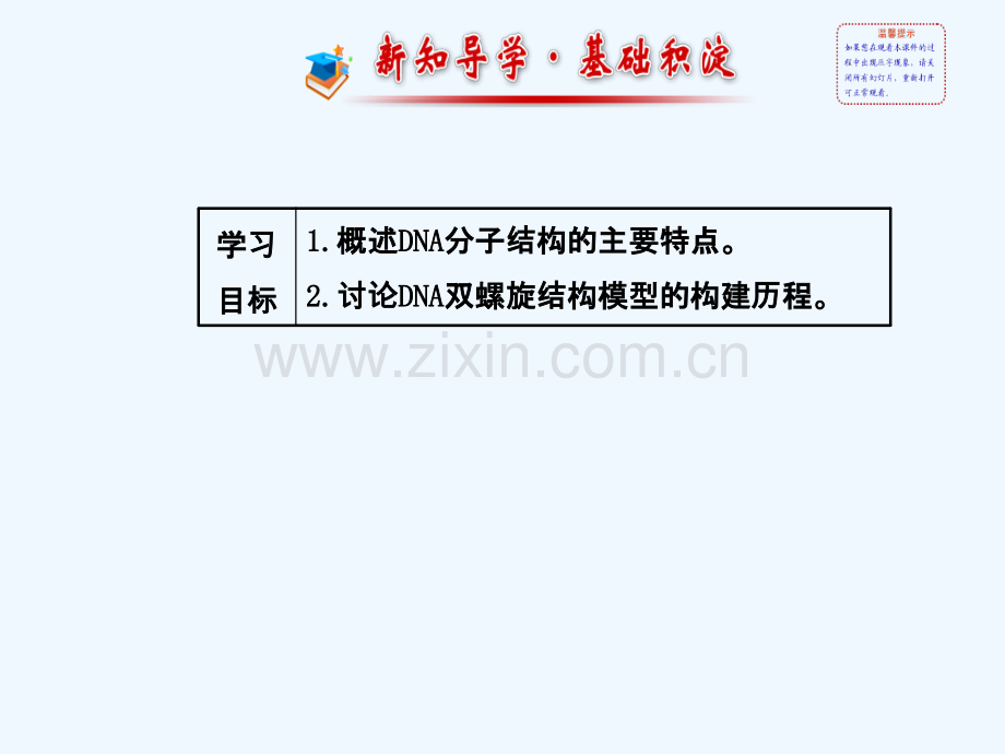 DNA分子的结构课件(5).ppt_第2页