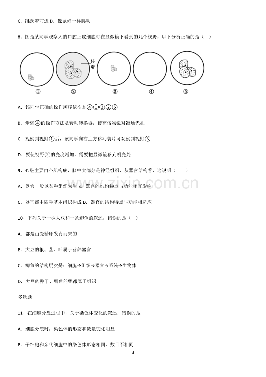 初中生物七年级上册第二单元生物体的结构层次重点归纳笔记.pdf_第3页