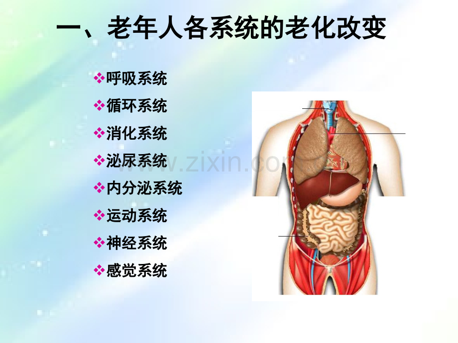 老年常见健康问题-PPT.ppt_第2页