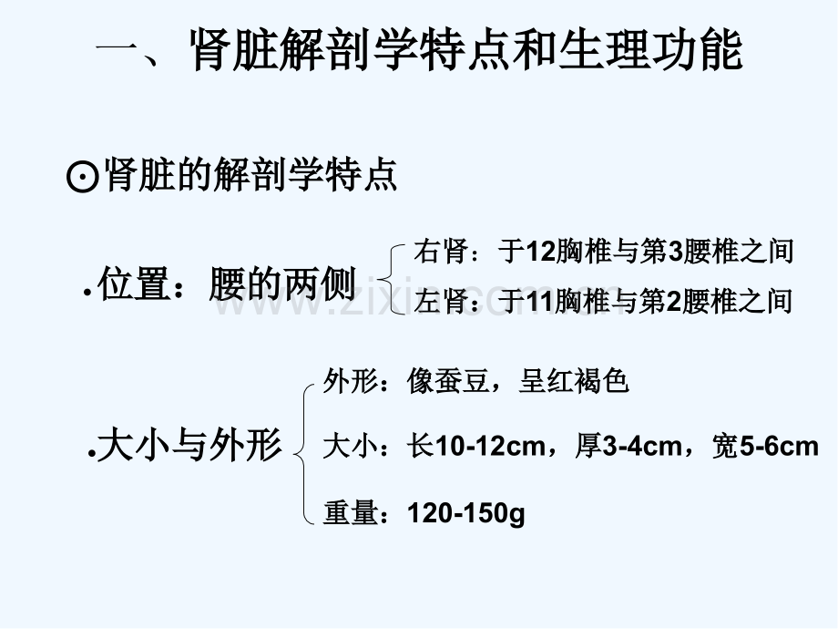 肾脏病防治课件ppt.pptx_第3页