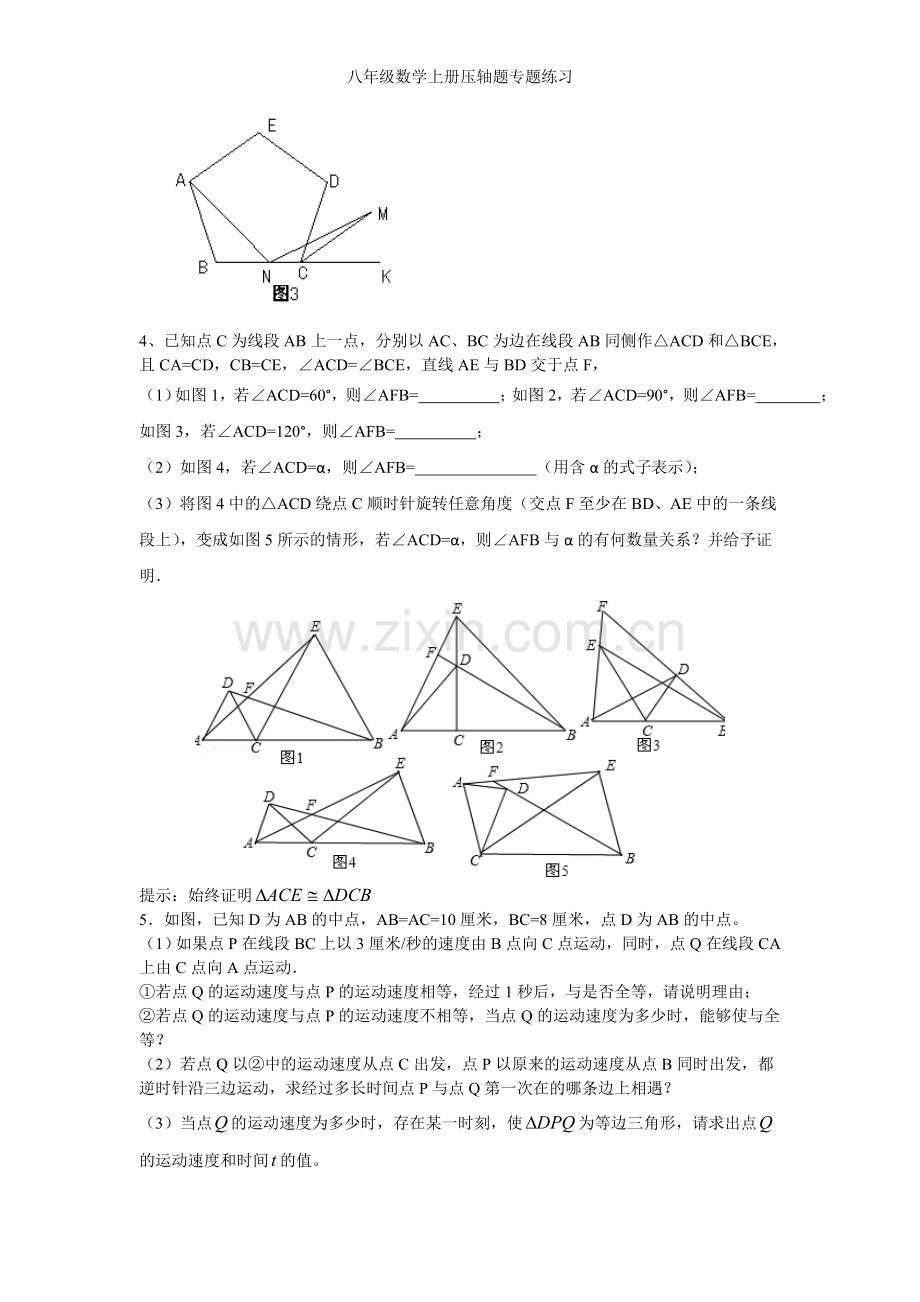 八年级数学上册压轴题专题练习.doc_第2页