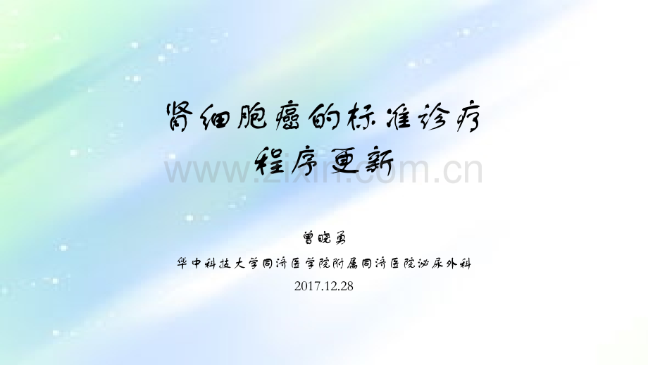 肾癌的标准诊疗程序更新2018-PPT.ppt_第1页