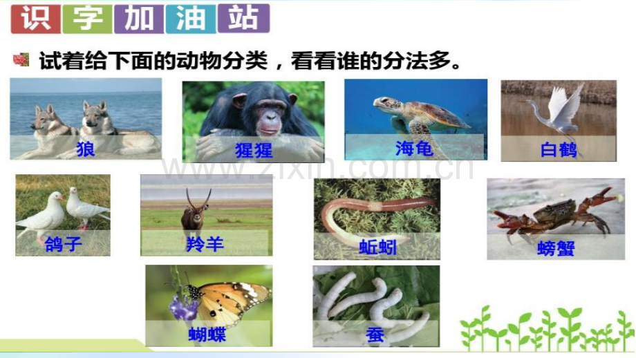 部编版二年级上册-语文园地八.ppt_第2页