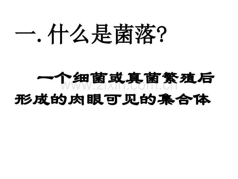 八年级第四章细菌和真菌.ppt_第2页