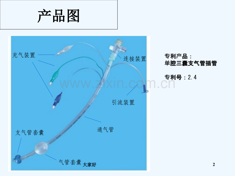 单腔支气管插管宣传资料-PPT.ppt_第2页