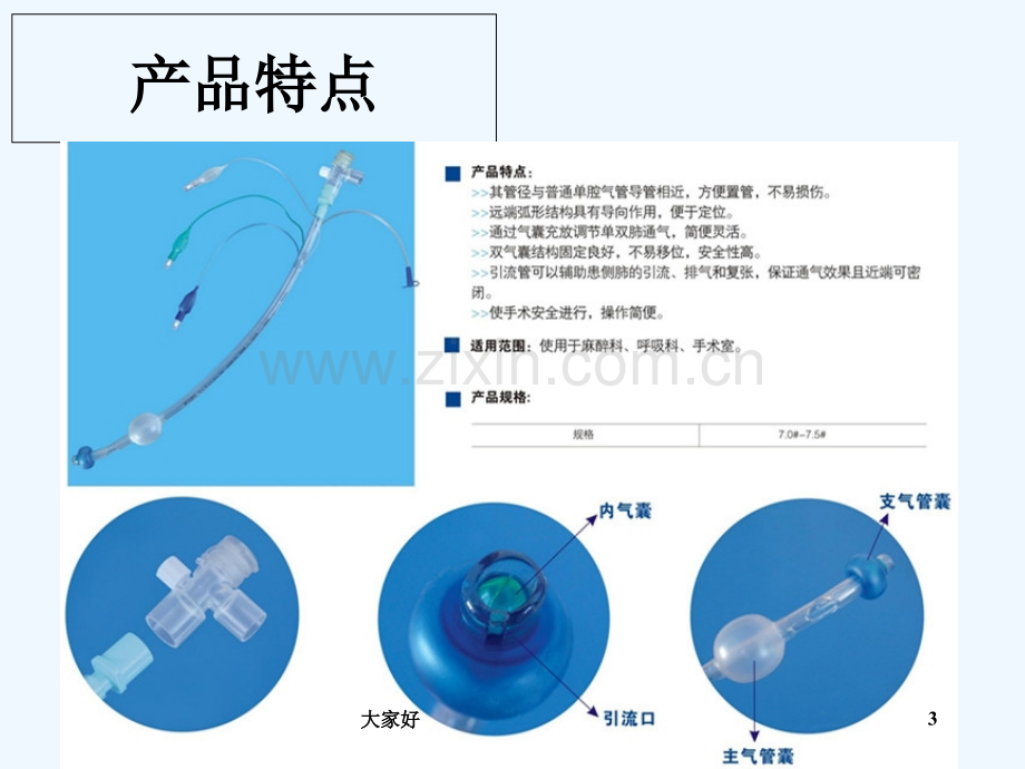 单腔支气管插管宣传资料-PPT.ppt_第3页