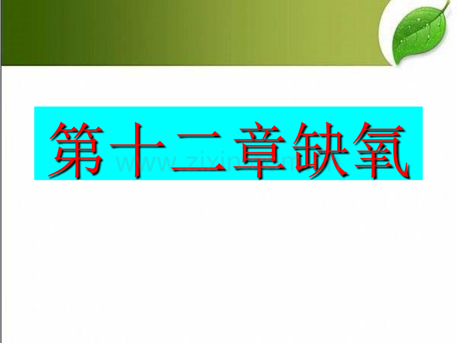 病理学缺氧-PPT.ppt_第1页