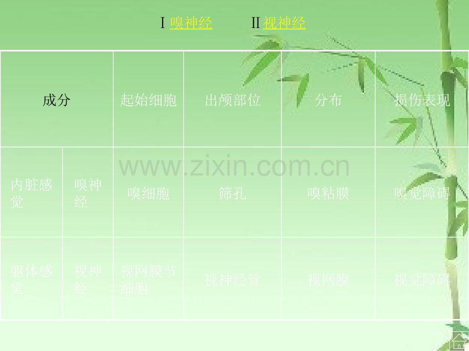 脑神经解剖图谱ppt.ppt_第3页