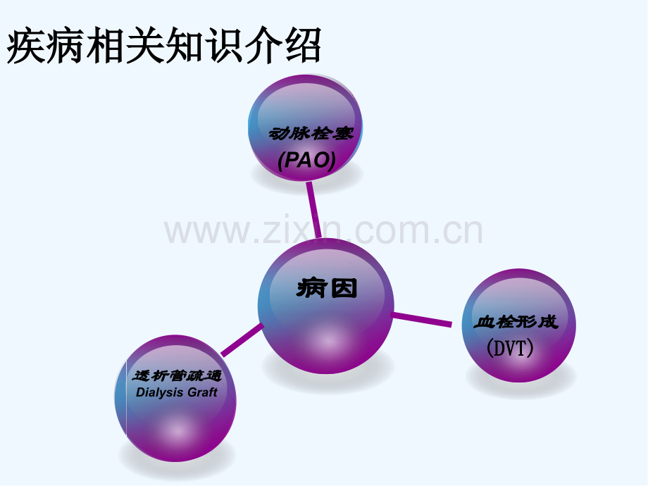 置管溶栓的护理-PPT.pptx_第3页