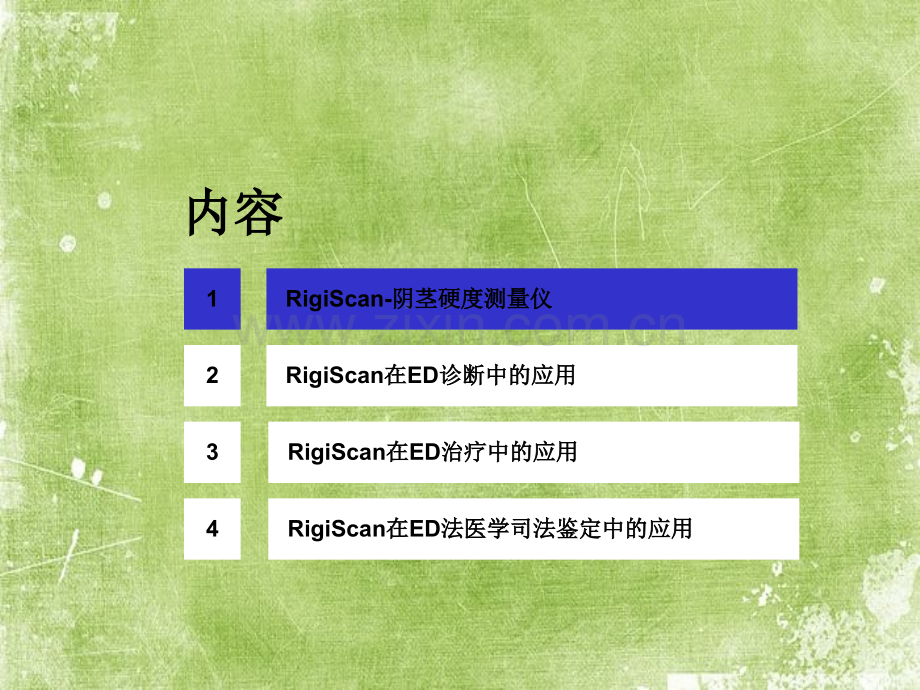 RigiScan在ED诊断和治疗中的应用ppt.ppt_第2页