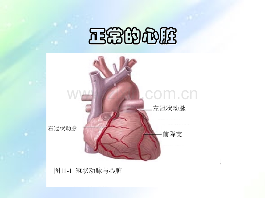 冠心病护理要点-PPT.ppt_第2页