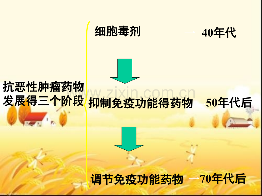 抗肿瘤药物及临床评价.pptx_第2页