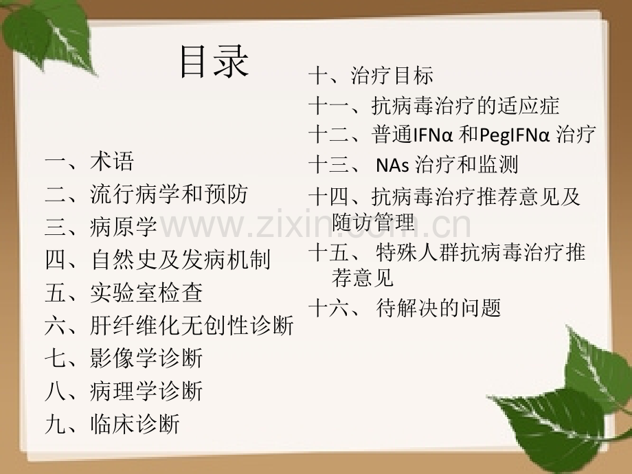 文献阅读-《慢性乙型肝炎防治指南》学习-PPT.pptx_第2页