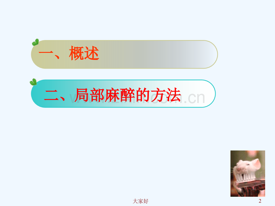 口腔局部麻醉-PPT.ppt_第2页